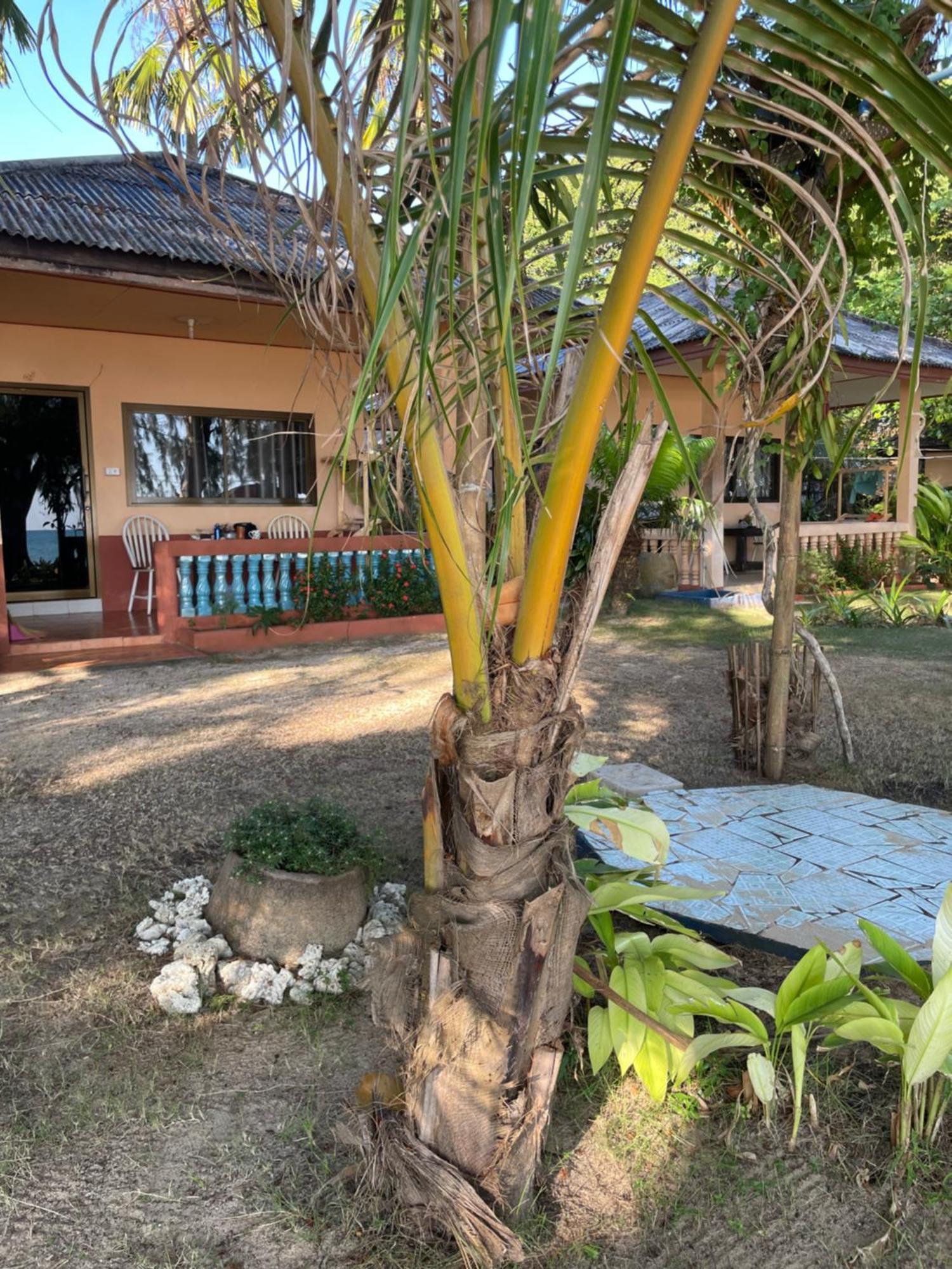 Baanyaiguesthouse Koh Mak Exterior photo